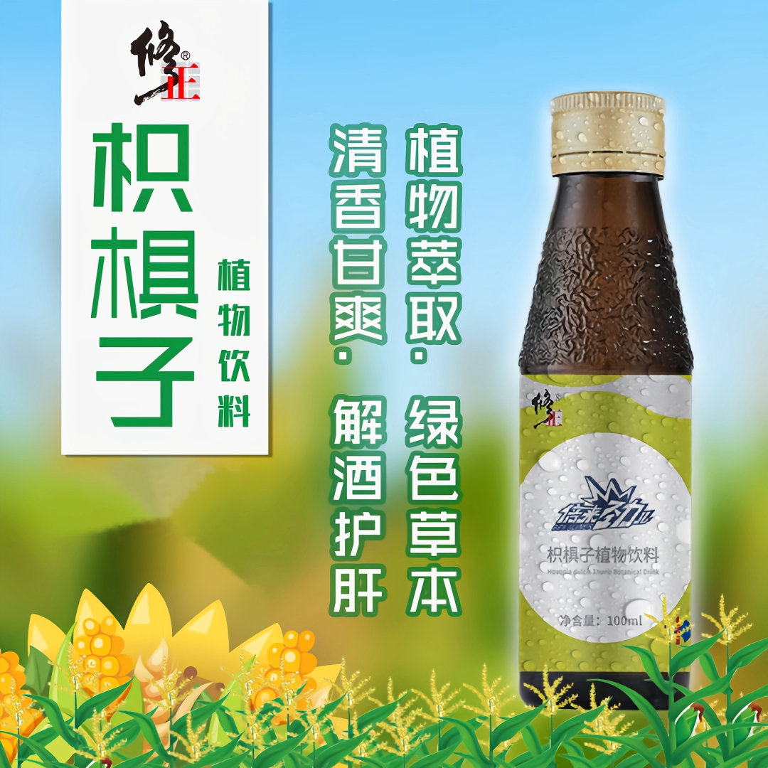 解酒饮料-修正枳椇子植物饮料解酒醒酒护肝养胃100ml/瓶x16瓶/2盒