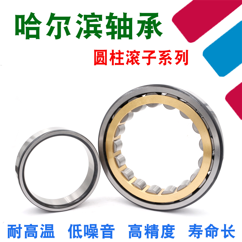 哈尔滨圆柱滚子轴承RN202 203 204 205 206 207 208 209 210 EM