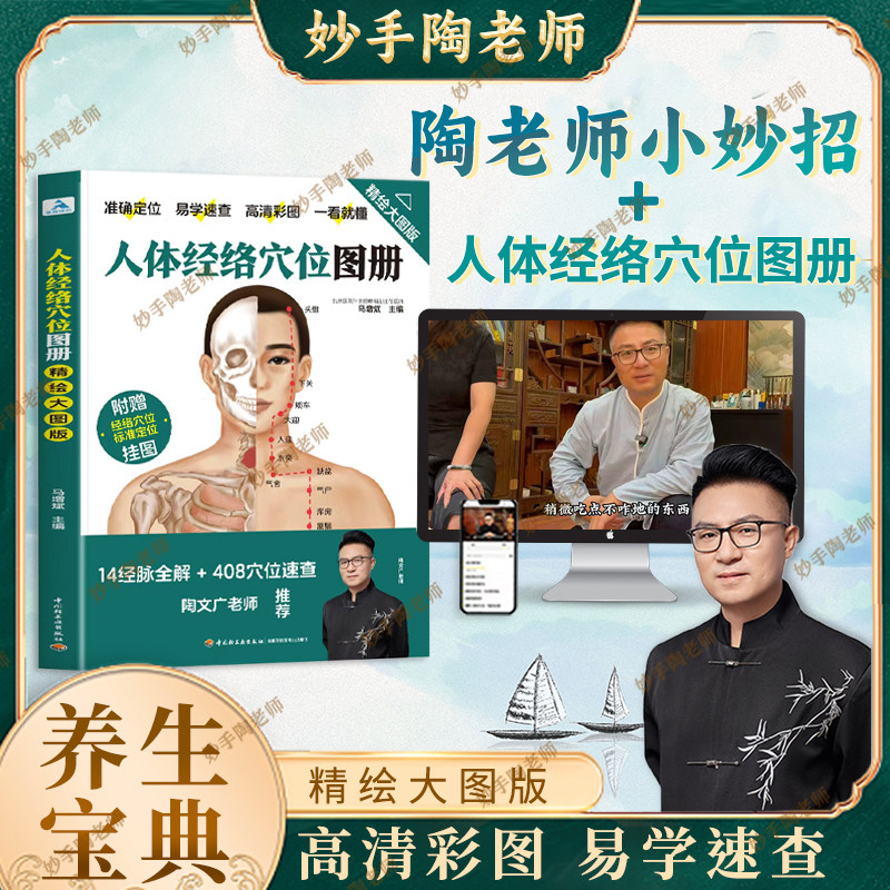 陶老师小妙招 人体经络穴位标准大图册  简单好操作守护全家健康