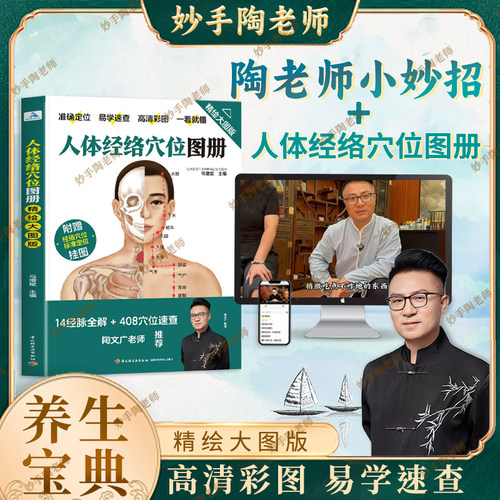 陶老师小妙招 人体经络穴位标准大图册  简单好操作