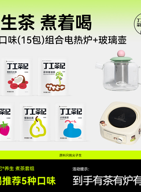 丁工茶记大茶包袋泡茶组合吨吨壶电热炉女生茶包独立小包装养生茶