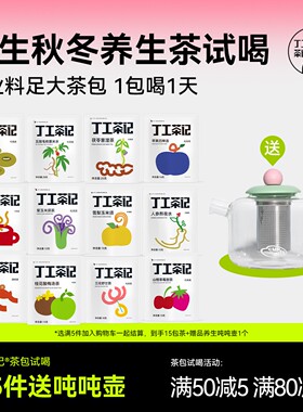 丁工茶记秋冬天养生茶女生茶包试喝送吨吨壶大茶包办公室养生茶