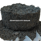 2018年陈化六堡农家茶桂青种茶芽农家传统工艺制作茶汤醇和回甘甜