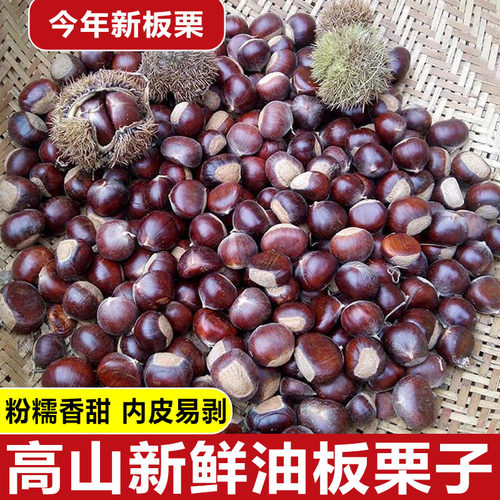 板栗2025新货云南新鲜生迁西小板栗子农家自种高山正宗油板栗现货