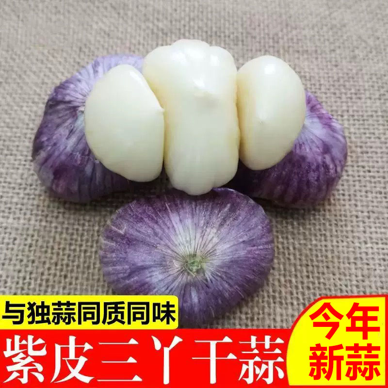 农家紫皮大蒜三丫蒜大果