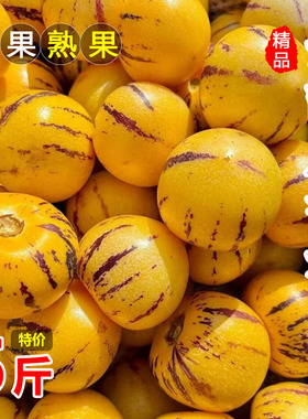 云南人参果9斤新鲜水果石大人心果娃娃果黄肉人生叁果林整箱包邮