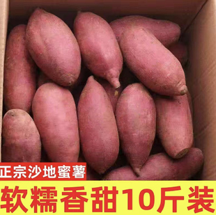 红薯新鲜沙地蜜薯板栗新红薯糖心地瓜香薯山芋农家自种现挖现发