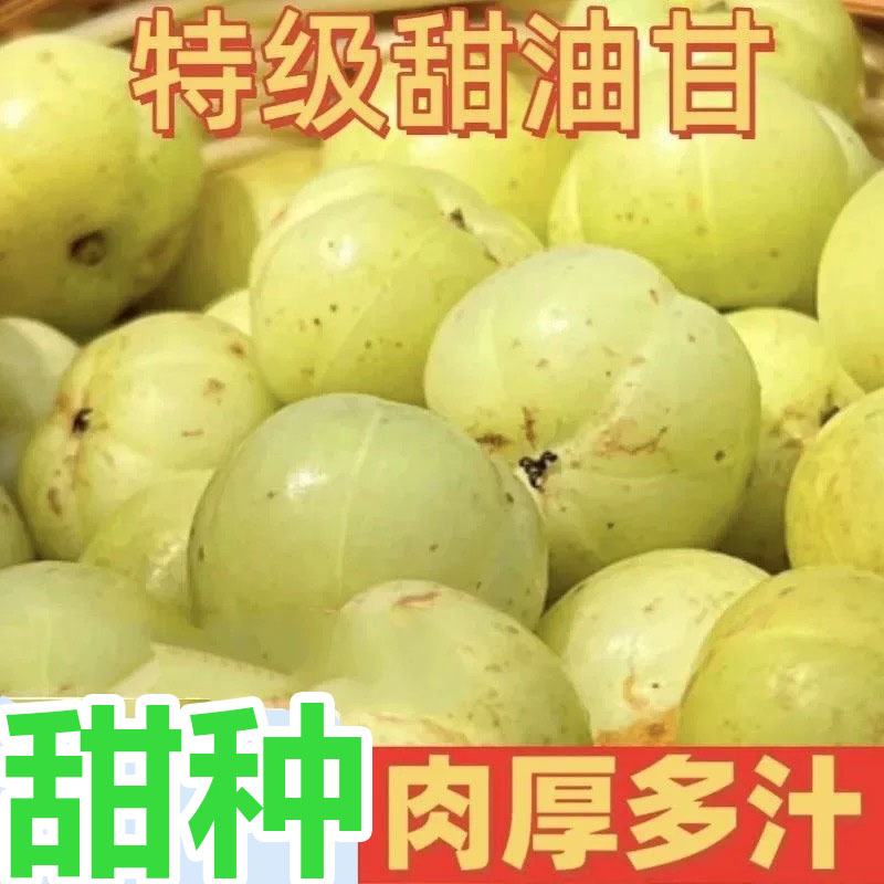 新鲜农家采摘甜种油柑肉厚甜油甘滇橄榄余甘子青果生吃榨汁余甘果