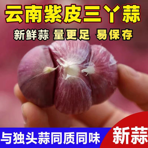 大理三丫蒜分蒜云南紫皮大蒜三瓣蒜干蒜头独头蒜同味农家自种疏菜