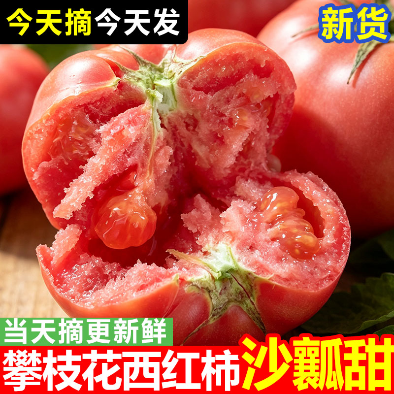 攀枝花沙瓤西红柿新鲜9斤自然熟高山露天种植农家蔬菜老品种番茄