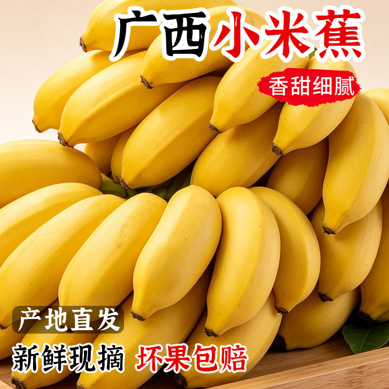 广西小米蕉新鲜水果整箱香蕉当季现摘香甜软糯苹果蕉特产芭蕉正宗