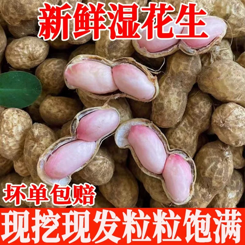 2025现挖现发新鲜花生带壳湿花生农家自种新鲜泥巴湿花生水煮花生