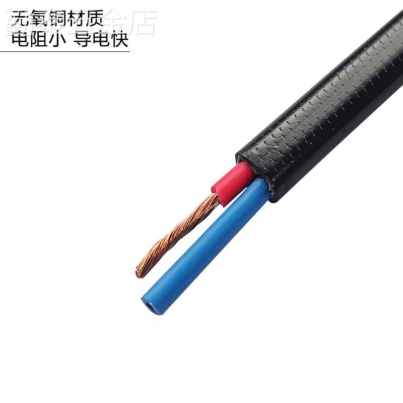 带线母插头两孔监控电源防水盒10A电源插头母头220V公头接头配件