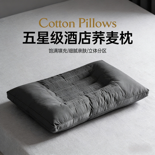 五星级酒店专用荞麦枕头成人护颈椎助睡眠荞麦皮壳硬枕家用