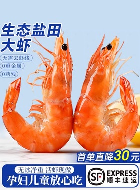 盐田虾鲜活速冻0重金属0药残