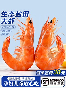 盐田虾鲜活速冻0重金属0药残