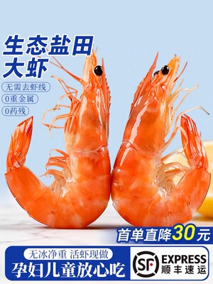 盐田虾鲜活速冻0重金属0药残
