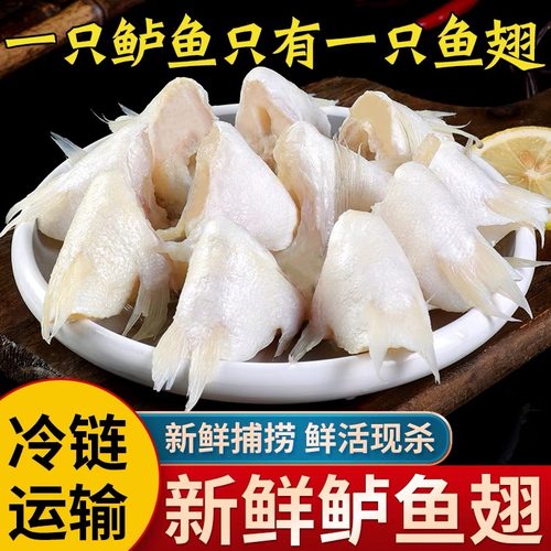 新鲜鲈鱼翅 活鱼现切250g/包