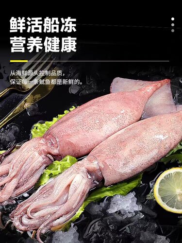 海捕鱿鱼三去大鱿鱼去内脏鲜活冷冻大鱿鱼海鲜铁板鱿鱼
