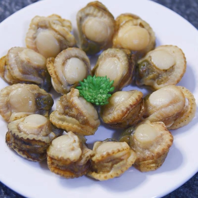 新鲜港湾贝小红贝肉柱现剥扇贝肉应季海鲜水产