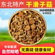 新货东北特产滑子菇滑子蘑菇干货滑菇小黄蘑小鸡炖蘑菇500g