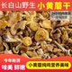 新货东北长白山松树小黄蘑滑菇香菇干货松树蘑油黄蘑滑子菇干货