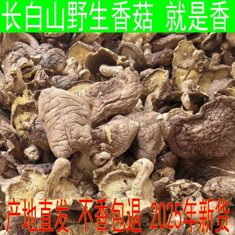 东北干香菇无熏硫净重