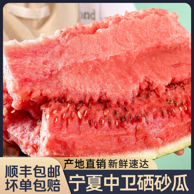正宗宁夏中卫硒砂瓜越大越沙甜