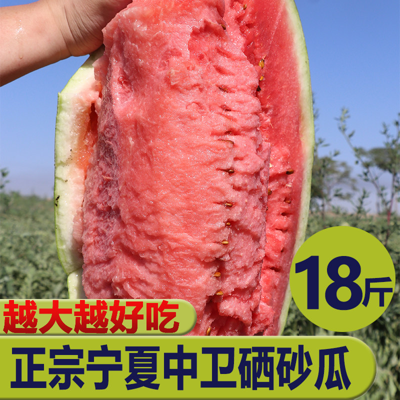正宗宁夏中卫硒砂瓜当季新鲜水果沙地石缝压砂瓜18斤沙瓤大西瓜 - 实物图