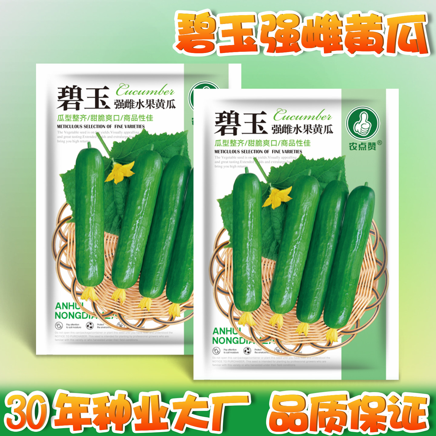 碧玉强雌黄瓜种子水果小黄瓜种子无刺荷兰瓜阳台盆栽四季蔬菜种子