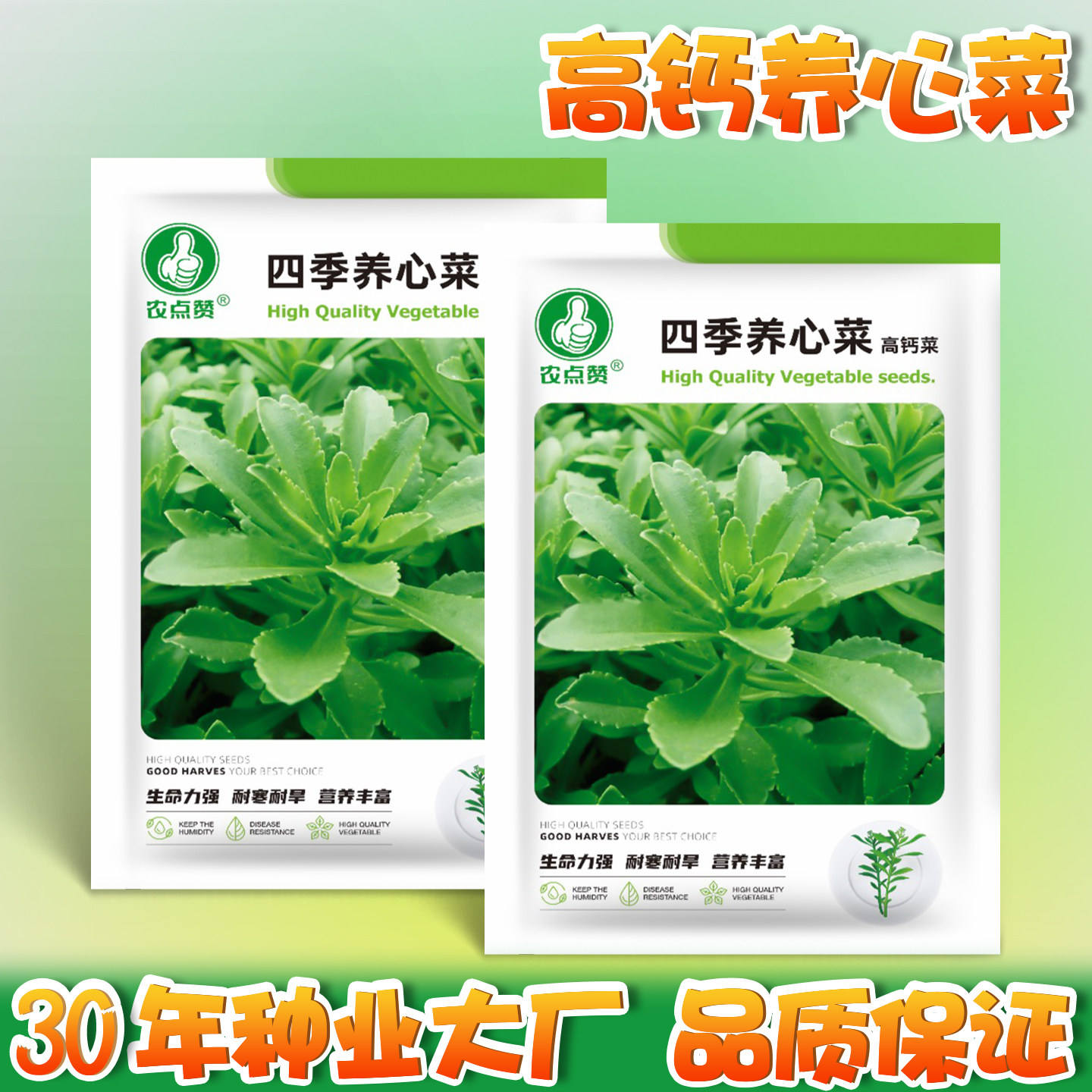 高钙养心菜种子救心菜种籽野菜费菜种孑泡茶高钙菜种子四季蔬菜籽