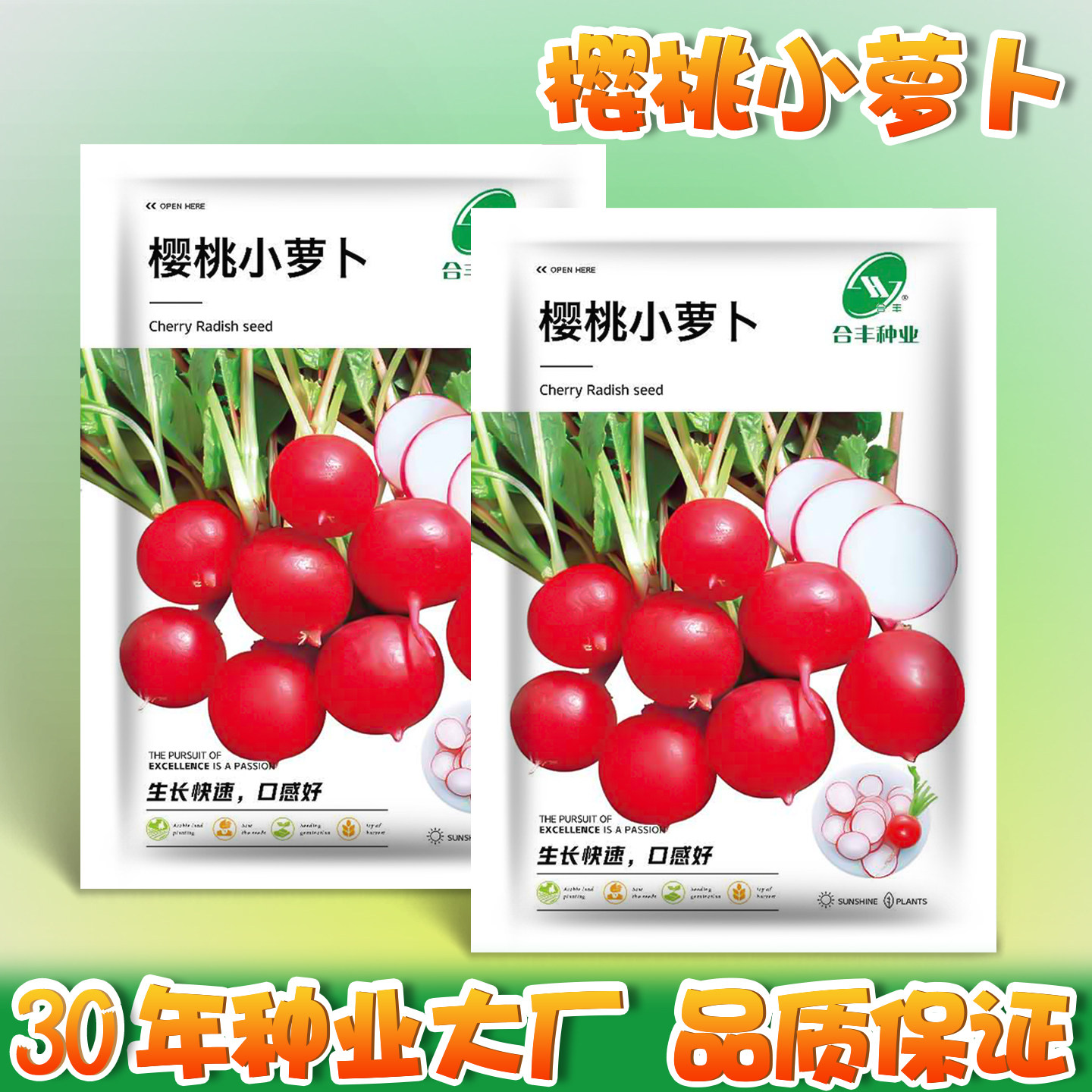 樱桃小萝卜种子四季种植生吃红皮水果萝卜种籽阳台盆栽圆罗卜籽种