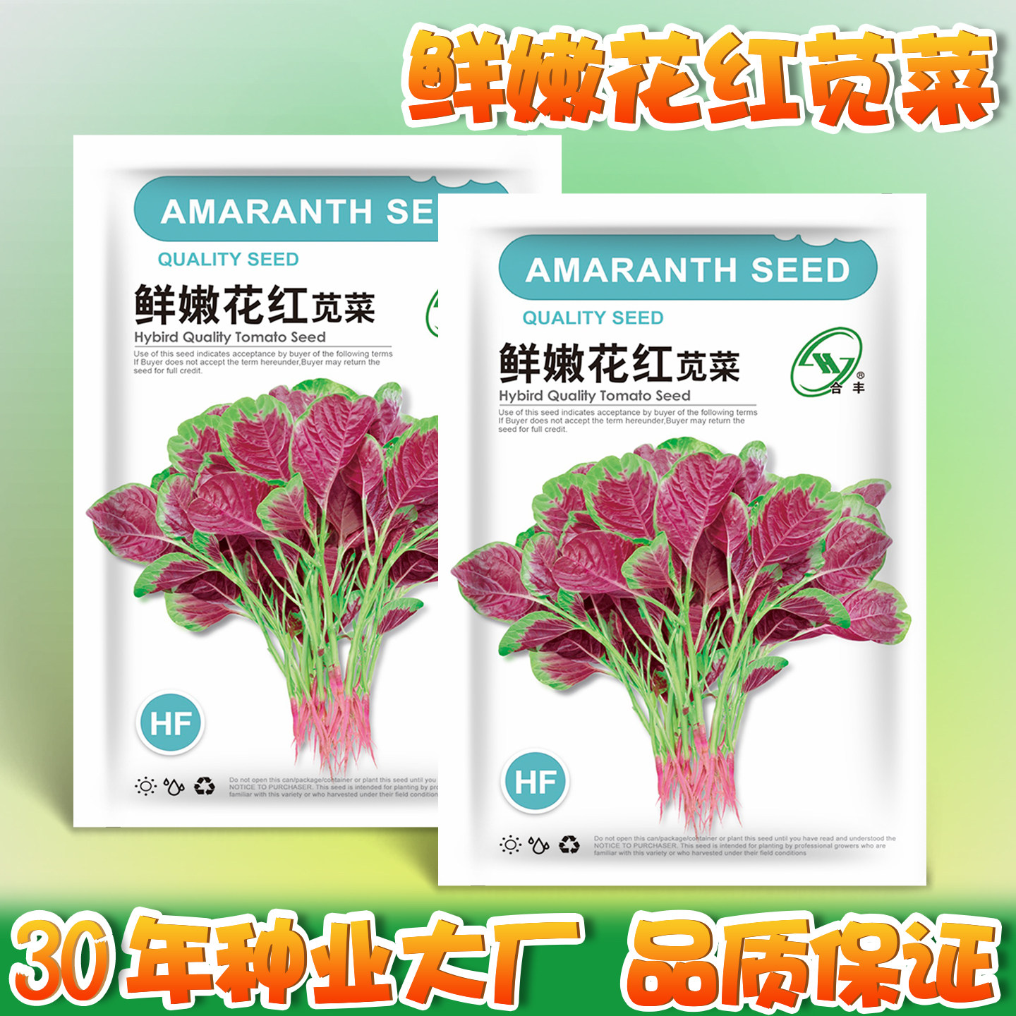 鲜嫩花红苋菜种子一点红圆叶苋菜汉菜汗菜籽种春夏季耐热蔬菜种子图片