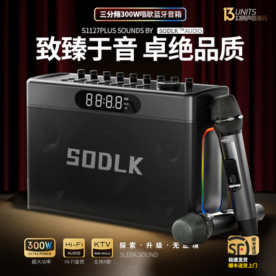 300W蓝牙音箱柏林之声大音量重低音炮高端家用户外露营唱K歌音响