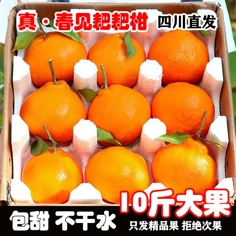 春见耙耙柑粑粑柑正宗四川现摘发货新鲜丑桔橘子10斤整箱应季水果,水产肉类/新鲜蔬果/熟食,桔子,淘宝优惠券,粉丝福利购,淘宝优惠卷