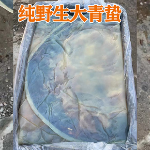 海蜇皮新鲜即食凉拌野生5斤桶装水母花提干海哲正宗垫干货红太阳