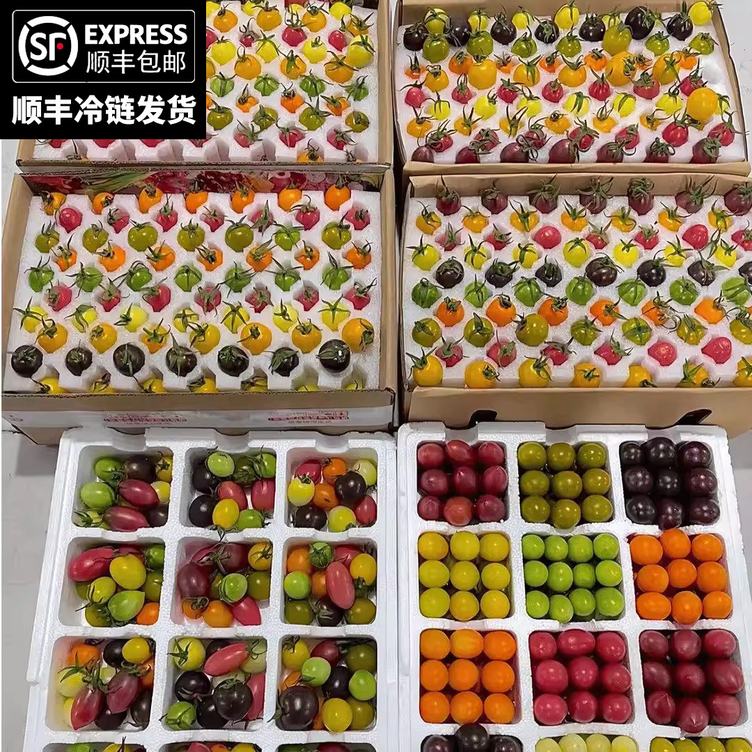 七彩小番茄多彩圣女果千禧果超甜番茄