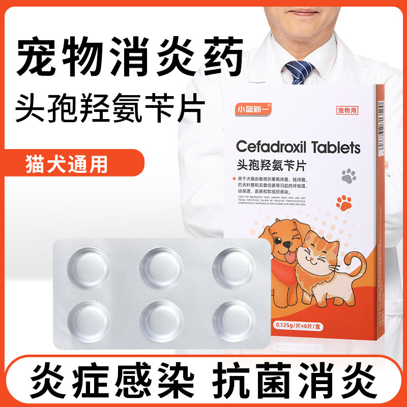 头孢羟氨苄片消炎药犬猫宠物猫咪狗狗用脓皮症感染尿路泌尿道口炎