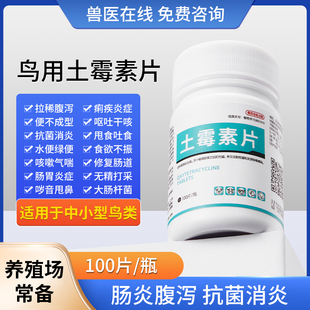 鸟专用土霉素药片玄凤风鸽子肠炎急救拉稀腹泻绿便水便土霉素鹦鹉