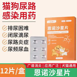 恩诺沙星猫用利尿通狗狗猫咪尿频尿血尿路感染消炎尿闭药泌尿系统