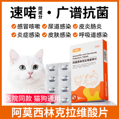 猫咪专用阿莫西林克拉维酸钾片