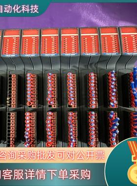 TRIO翠欧P376模块Flexslice out16n 原现货