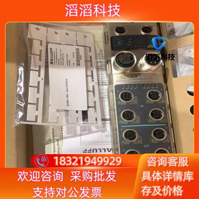 现货巴鲁夫BNI005K