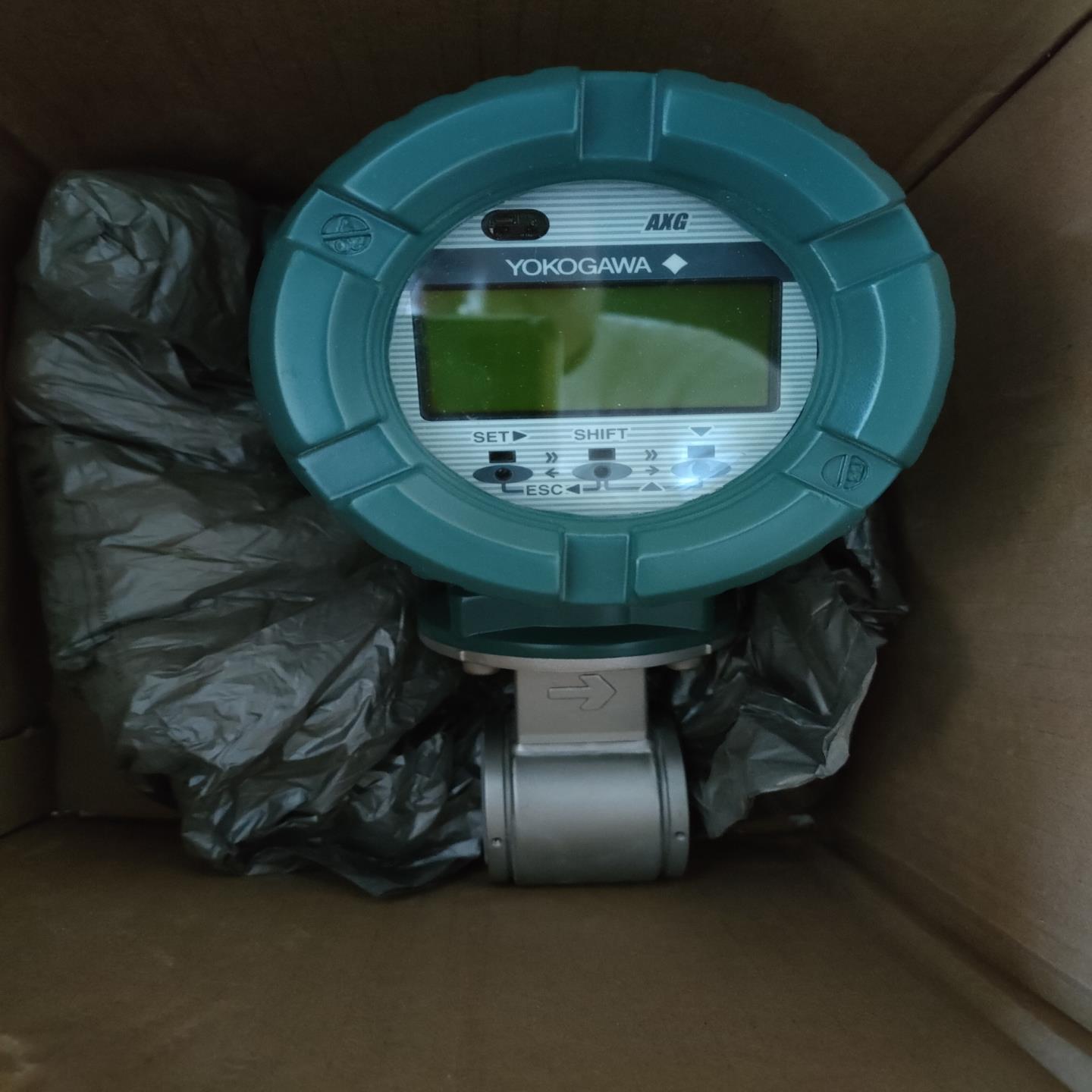 横河电磁计AXG025G，图片，衬里PFA,金属