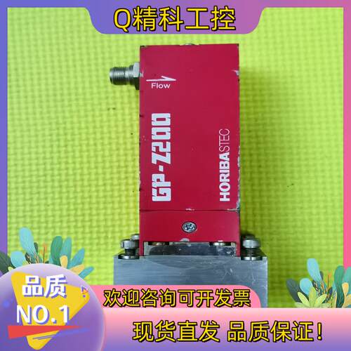 现货HORIBY GP-Z204RF-C气体质量计控制器
