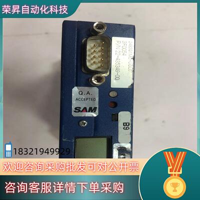 SAM气体计 2480G1 MC-UGL0