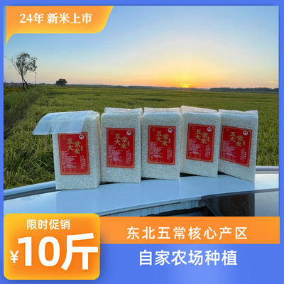 五常大米稻花香二号原粮新米 真空米砖包装