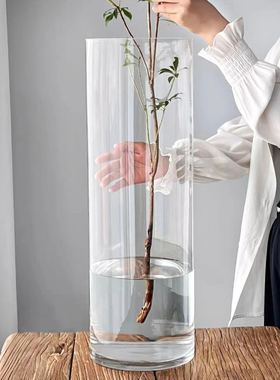 亚克力防摔透明花瓶直筒水养富贵竹客厅简约大口径桌面摆件