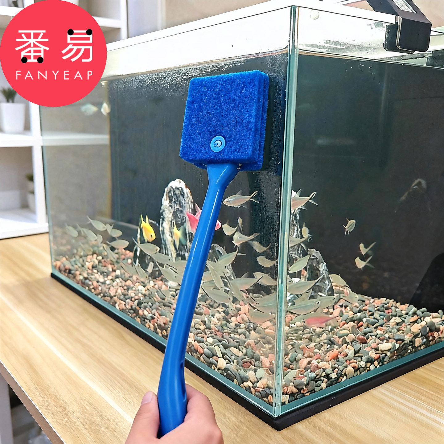 鱼缸清洁刷B1vq001-鱼缸长柄清洁刷子擦水族箱玻璃内壁刷子工具,宠物/宠物食品及用品,鱼缸清洁用具,淘宝优惠券,粉丝福利购,淘宝优惠卷