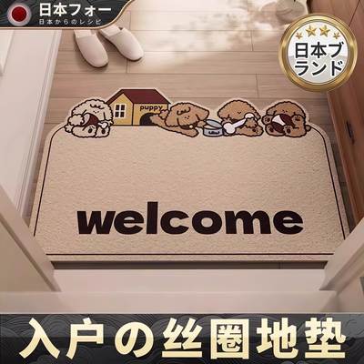 入户门地垫门口进门脚垫可裁剪丝圈进户门垫轻奢高级门外防滑地毯